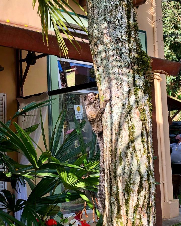 Pousada Pataca de prata - Pousada de Época Petrópolis Exterior foto